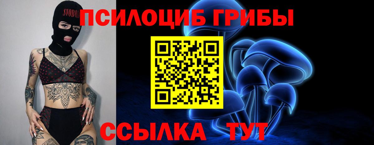 Псилоцибиновые грибы ЛСД  Вход с VPN  Мариинск 