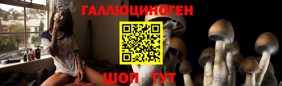 Галлюциногенные грибы ЛСД Мариинск